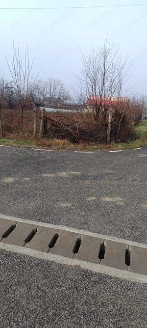 Vand teren Namoloasa-Sat - imagine 4