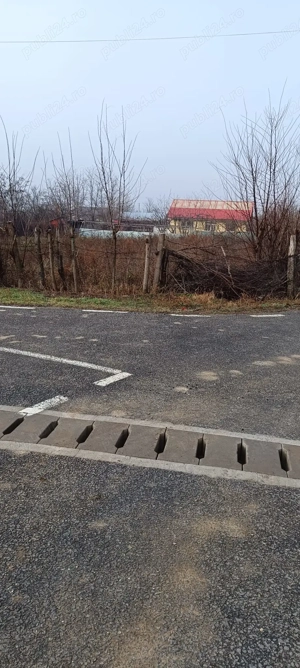 Vand teren Namoloasa-Sat - imagine 5