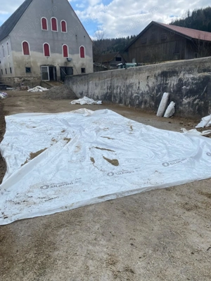   Angajez muncitor la ferma de vaci in Austria       - imagine 2