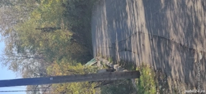 Teren cu potențial rezidențial   1029 m , toate utilitățile, zonă de case noi, Vălenii de Munte - imagine 5