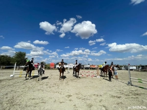    Angajăm îngrijitor de cai în Austria     