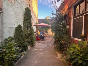 Casa Individuala zona Centrala - imagine 7