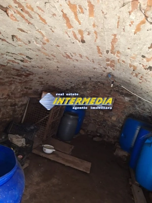 Casa veche cu Anexe cu 1313 mp Teren in Lancram centru la asfalt toate utilitatiile - imagine 2