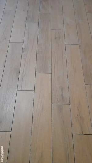 Amenajări interioare și exterioare  - imagine 3