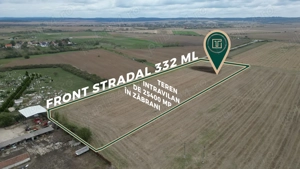 Teren intravilan de 25400 mp cu potențial excepțional pentru investiție în Zăbrani - imagine 2