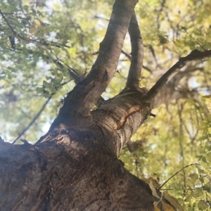 Apartament 2 camere Cartierul Solar - imagine 7