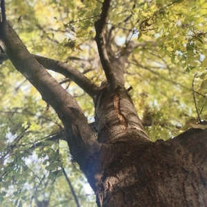 Apartament 2 camere Cartierul Solar - imagine 10