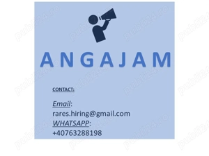 Muncitori fibra optica - STRAINATATE