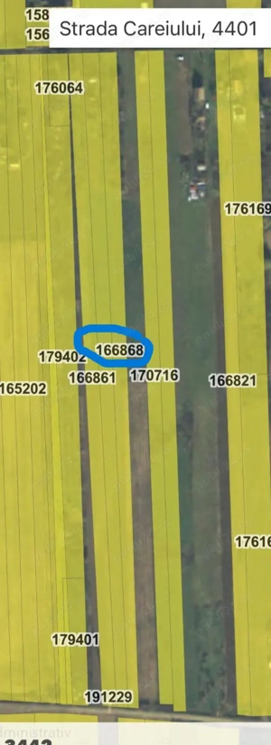 Vand teren in Satu Mare front 13 metrii