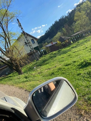 Vand teren de cabana Sacuieu ( Vladeasa )