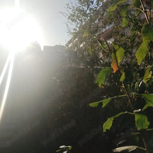 Apartament 2 camere Cartierul Solar - imagine 2