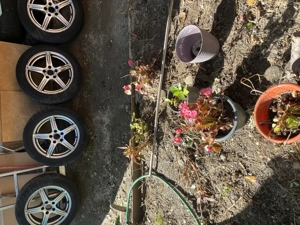 Jante aliaj r16 second hand - imagine 4