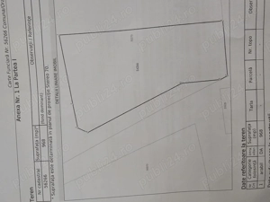 Vand teren intravilan in Albesti - imagine 3