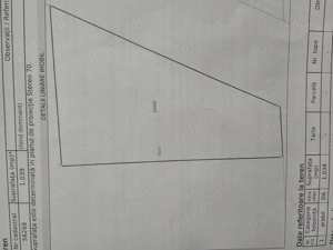 Vand teren intravilan in Albesti - imagine 2