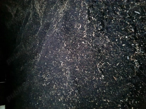 Vând grâu și rapiță producția 2025