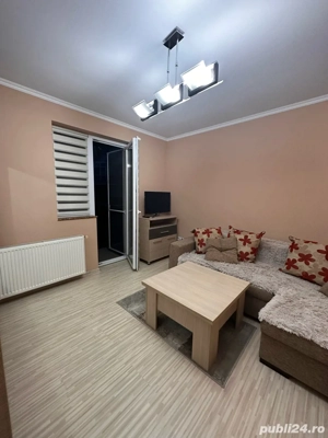 Garsoniera Turnisor Frunzei