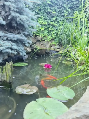 Duplex de vanzare, Mosnita Veche, 5 cam, 132 utili, toate utilitatile - imagine 6