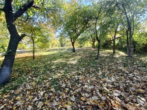 Oaza de liniste:Casa la curte cu gradina mare si teren generos - 8888 mp - imagine 4