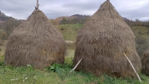 Vând 5 clăi de fan si una de otava