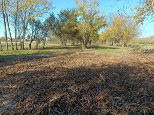 Oaza de liniste:Casa la curte cu gradina mare si teren generos - 8888 mp - imagine 7