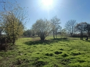 Oaza de liniste:Casa la curte cu gradina mare si teren generos - 8888 mp - imagine 10