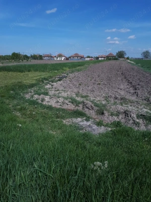 De vanzare casa la tara - imagine 6