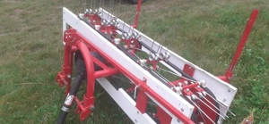 Grebla curele  - imagine 2