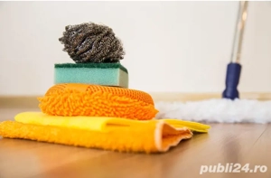 Curatenie la domiciliu 