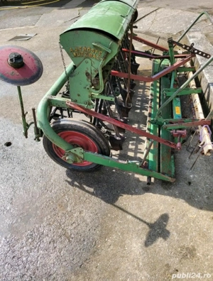 semanatoare paioase hassia