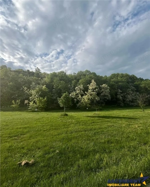 Transilvania Camping,domeniu de 14.400mp,Sanmarghita de Mures:2cladiri, apartamente,potential except - imagine 9