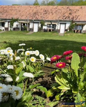 Transilvania Camping,domeniu de 14.400mp,Sanmarghita de Mures:2cladiri, apartamente,potential except - imagine 3