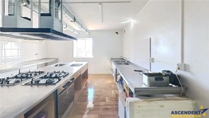 Transilvania Camping,domeniu de 14.400mp,Sanmarghita de Mures:2cladiri, apartamente,potential except - imagine 15