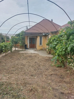 Casa de vanzare Biled - imagine 4