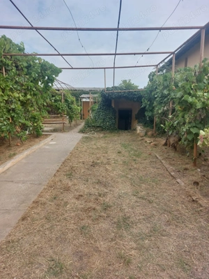 Casa de vanzare Biled - imagine 3