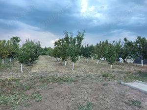 Casa de vanzare Silistraru jud. Braila - imagine 5