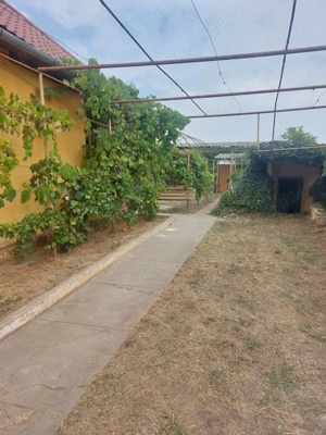 Casa de vanzare Biled - imagine 8