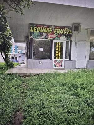 Spatiu comercial, spre inchiriere, in Aleea Carpati