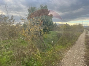Teren intravilan Focsani / Strada Zabala - imagine 7