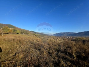 Teren 6,874mp Alexandru cel Bun / Strada plopusor - imagine 3