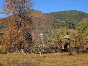 Teren 6,874mp Alexandru cel Bun / Strada plopusor - imagine 6