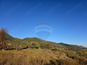 Teren 6,874mp Alexandru cel Bun / Strada plopusor - imagine 9