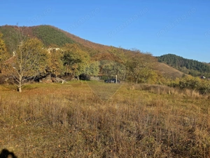 Teren 6,874mp Alexandru cel Bun / Strada plopusor - imagine 13