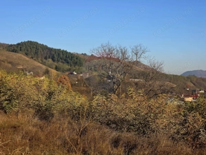 Teren 6,874mp Alexandru cel Bun / Strada plopusor - imagine 17