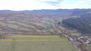 Teren 5.800 mp Purcareni curent, gaz, apă / Strada 30 decembrie - imagine 3