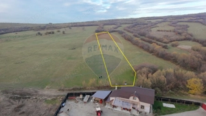 Teren 5.800 mp Purcareni curent, gaz, apă / Strada 30 decembrie - imagine 7