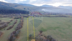 Teren 5.800 mp Purcareni curent, gaz, apă / Strada 30 decembrie - imagine 4