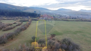 Teren 5.800 mp Purcareni curent, gaz, apă / Strada 30 decembrie - imagine 8