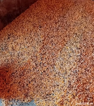 de arvunit 100kg  140kg - imagine 2