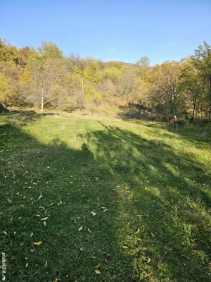 Vând Loturi Intravilane! - imagine 9