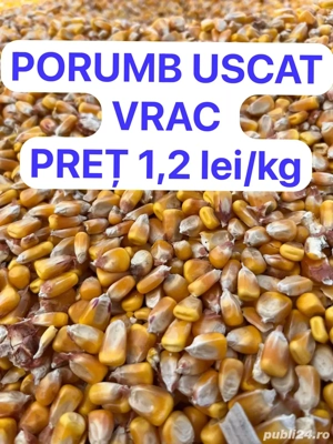 vand porumb uscat